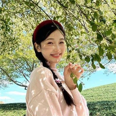 老虎与妙贼